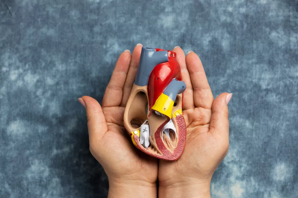 Kidney Transplantation